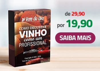 Banner guia Como degustar vinho como um profissional